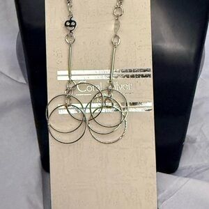 Elegant Silver Hoop Earrings